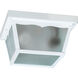 Fort Worth 2 Light 9.25 inch Outdoor Ceiling Light