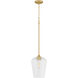 Raymond 1 Light 8.00 inch Pendant