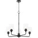 Raymond 5 Light 27 inch Matte Black Chandelier Ceiling Light in Clear