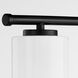 Belinder 4 Light 33 inch Matte Black Vanity Light Wall Light