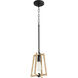 Alpine 1 Light 8 inch Noir with Driftwood Pendant Ceiling Light