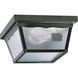 Fort Worth 2 Light 9 inch Gloss Black Outdoor Ceiling Light