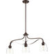 Jardin 3 Light 33 inch Oiled Bronze Island Light Ceiling Light in Clear Seeded