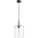 Fort Worth 1 Light 9.75 inch Noir Mini Pendant Ceiling Light