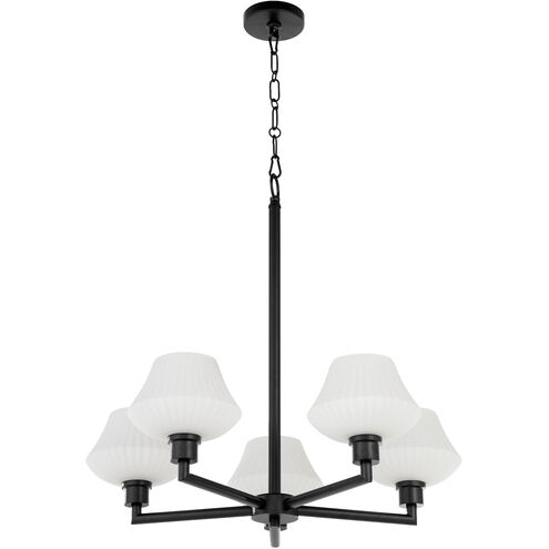 Cassini 5 Light 27.75 inch Matte Black Chandelier Ceiling Light in Aged Brass