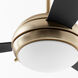 Expo 60 inch Aged Brass with Matte Black/Walnut Blades Ceiling Fan