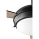 Expo 52 inch Matte Black with Matte Black/Weathered Gray Blades Ceiling Fan
