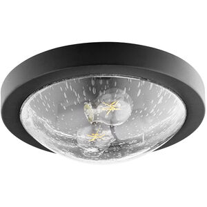 Fort Worth 2 Light 13 inch Noir Flush Mount Ceiling Light