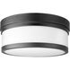Celeste 2 Light 12 inch Noir Flush Mount Ceiling Light
