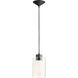 Fort Worth 1 Light 5 inch Noir Mini Pendant Ceiling Light in Clear and Frosted