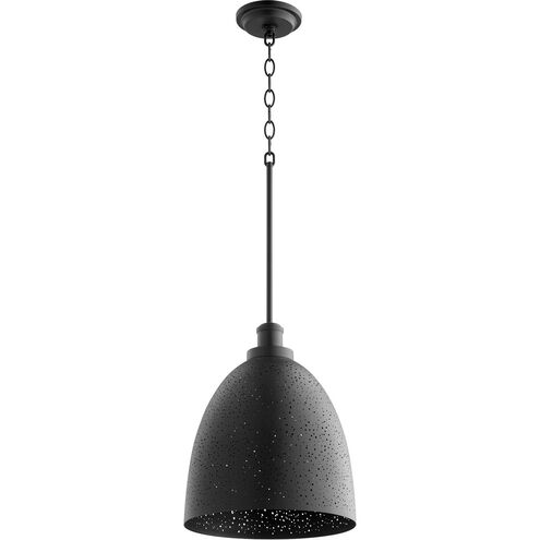 Stary Night 1 Light 11.88 inch Pendant