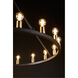 Paxton 16 Light 42 inch Noir and Aged Brass Chandelier Ceiling Light