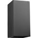 Ion 1 Light 10 inch Noir Outdoor Wall Lantern, Medium