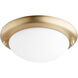 Fort Worth 1 Light Aged Brass Light Kit