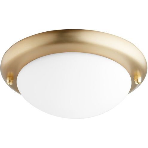Fort Worth 1 Light Aged Brass Light Kit
