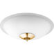 Fort Worth LED Aged Brass Light Kit