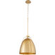 Jamie 1 Light 14.5 inch Aged Brass Pendant Ceiling Light
