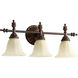 Rio Salado 3 Light 23.75 inch Toasted Sienna With Mystic Silver Vanity Light Wall Light