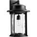 Charter 1 Light 19 inch Noir Outdoor Wall Lantern, Clear Hammered