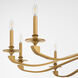 Chantelle 12 Light 60 inch Brushed Brass Chandelier Ceiling Light