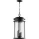 Hadley 4 Light 10 inch Noir Outdoor Pendant