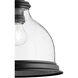 Fort Worth 1 Light 12 inch Noir Pendant Ceiling Light