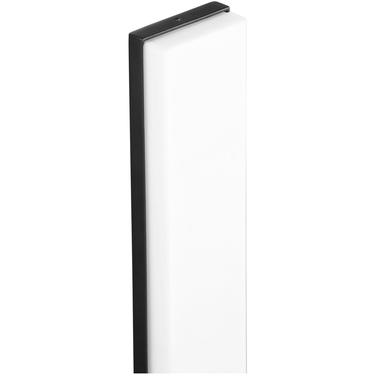 Fort Worth 2 Light 24 inch Matte Black Vanity Light Wall Light