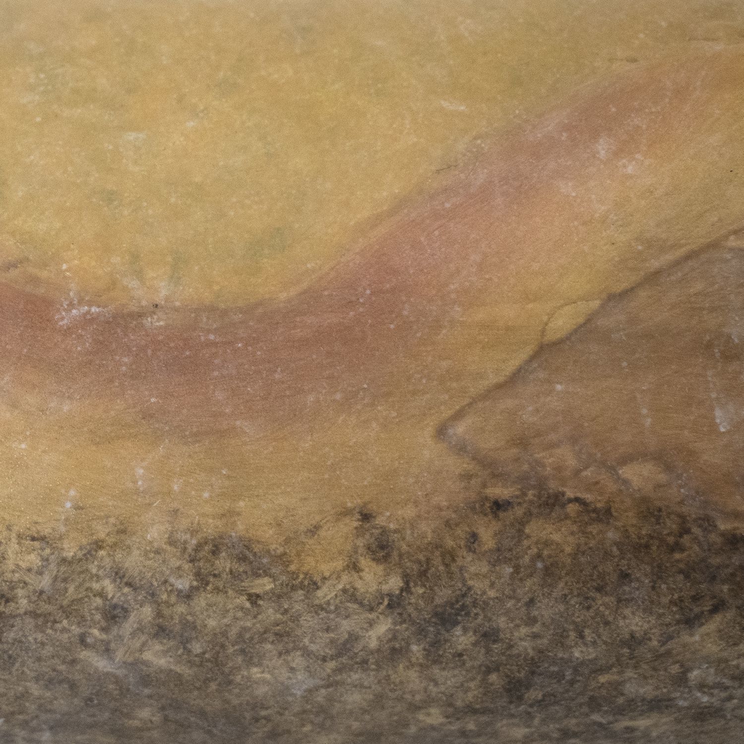 Ambiance Collection LED 7.75 inch Tierra Red Slate Outdoor Wall Sconce