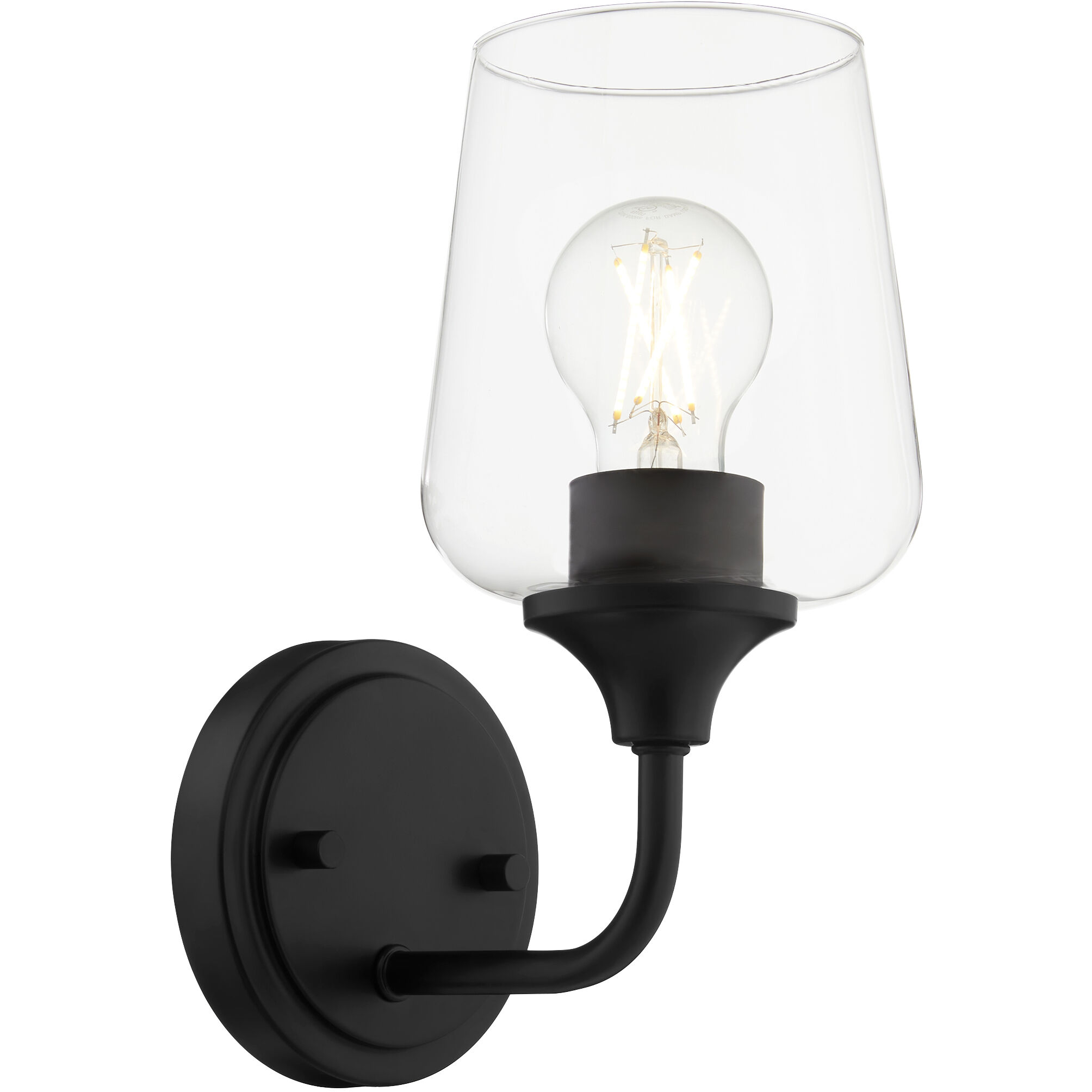 Raymond Wall Mount Wall Light in Matte Black