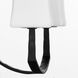 Ayala Wall Mount Wall Light in Matte Black