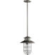 Moriarty 1 Light 9.5 inch Graphite Outdoor Pendant, Medium