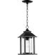 Crusoe 1 Light 7 inch Noir Outdoor Pendant, Clear Seeded