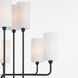 Charlotte 12 Light 37 inch Matte Black Chandelier Ceiling Light