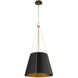 Denise 3 Light 18 inch Matte Black and Aged Brass Pendant Ceiling Light