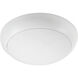 Fury 1 Light Studio White Fan Light Kit