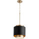 Fort Worth 1 Light 10.5 inch Noir and Aged Brass Mini Pendant Ceiling Light