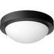 Contempo 2 Light 11 inch Noir Flush Mount Ceiling Light, Quorum Home 