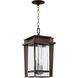 Easton 3 Light 9.5 inch Oiled Bronze Outdoor Pendant, Quorum Home