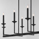 Eldorado 8 Light 18 inch Matte Black Chandelier Ceiling Light