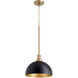 Fort Worth 1 Light 11.75 inch Noir and Aged Brass Mini Pendant Ceiling Light