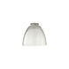 Fort Worth Clear Seeded 6 inch Glass Shade