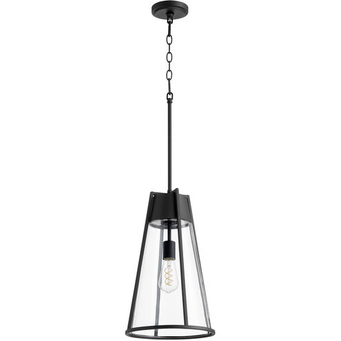 Fort Worth 1 Light 11 inch Noir Mini Pendant Ceiling Light