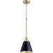 Fort Worth 1 Light 8 inch Noir and Aged Brass Mini Pendant Ceiling Light