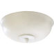 Fort Worth LED Studio White Light Kit