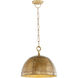 Artisan 1 Light 14.5 inch Artisan Brass Pendant Ceiling Light