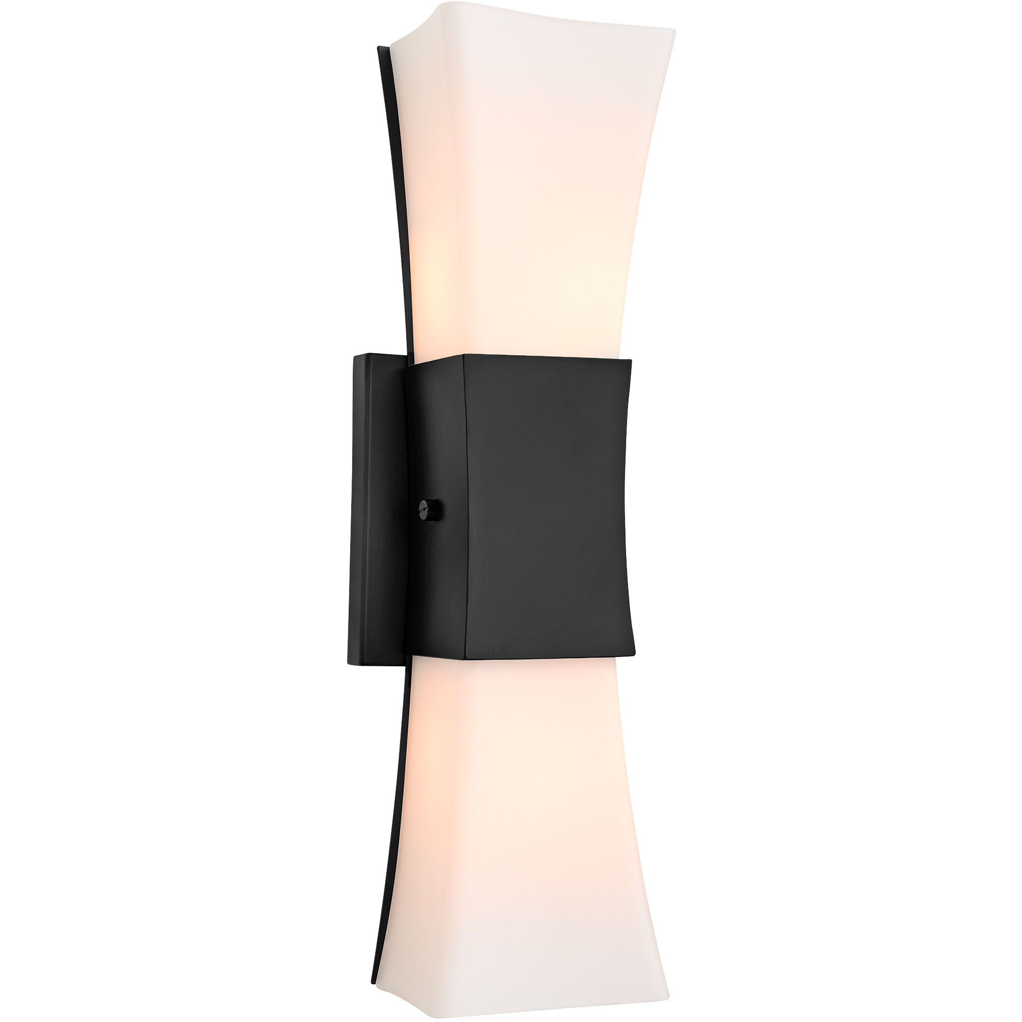 Ayala Wall Sconce Wall Light in Matte Black