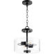 Dakota 2 Light 12 inch Noir Dual Mount Ceiling Light