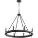 Aura 8 Light 28 inch Noir Chandelier Ceiling Light