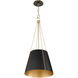 Denise 1 Light 15 inch Matte Black and Aged Brass Pendant Ceiling Light