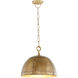 Artisan 1 Light 14.5 inch Artisan Brass Pendant Ceiling Light